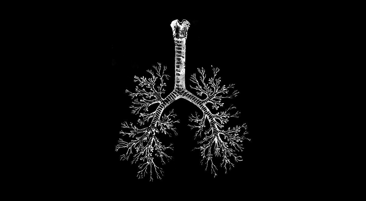 CT-scan Lung Cancer Detection